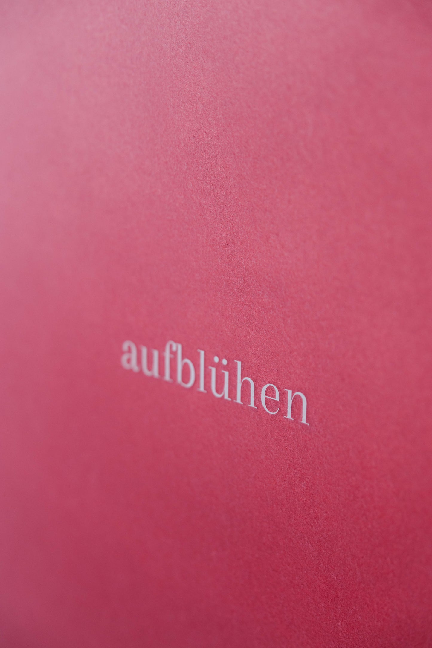 aufblühen 1>1000 70x100cm in Echtholz gerahmt